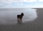 vakantie Ameland 2015 010